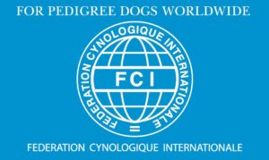 Logo FCI