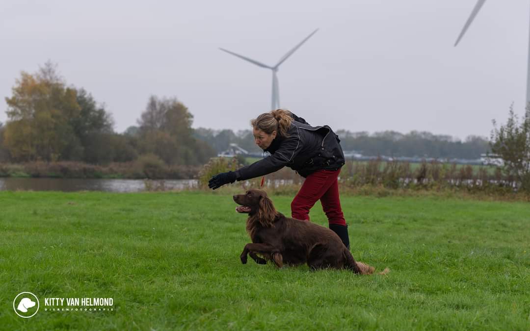 64f67d54-f419-42b3-a788-1184e47ddcf5