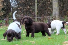 IMG_1603 bew kl IMG_1603 bew kl